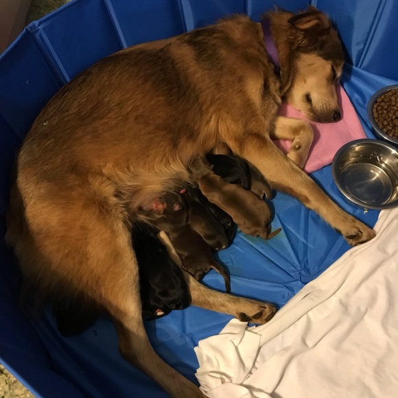 No Trades For Our Items; But We Will Take Offers! - Picture 2 of 8